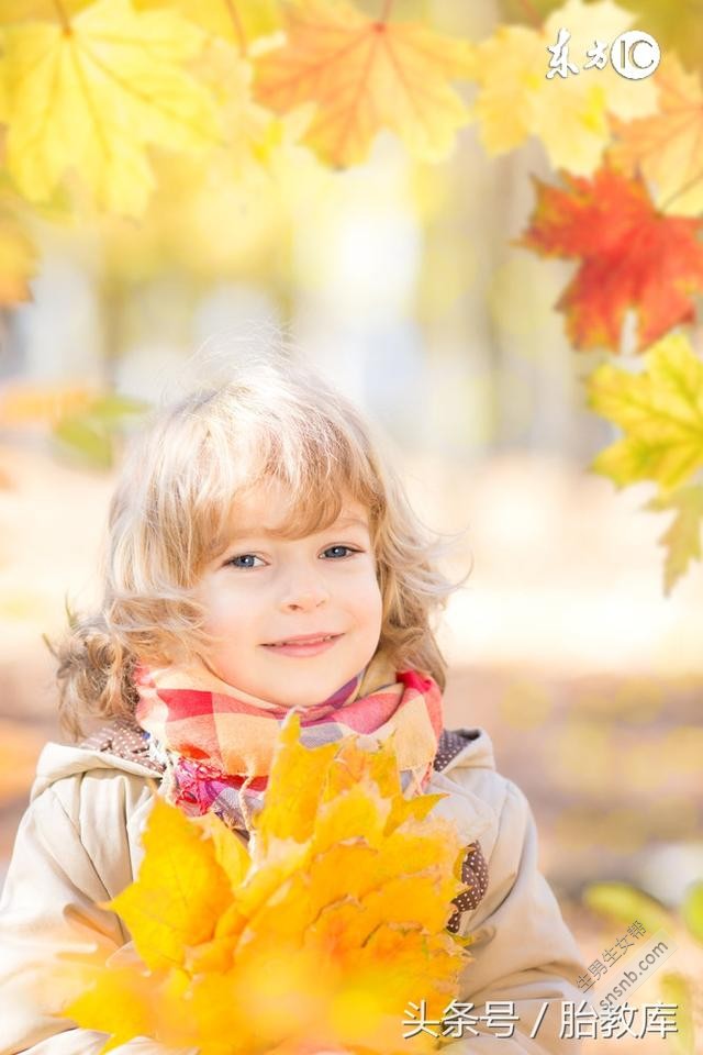 男的聪明生女儿，女的聪明生儿子