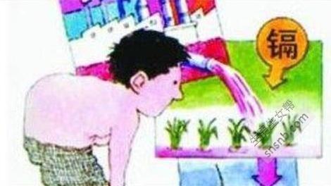 只生女儿不生男？可能是人体内这种有害元素过量了！