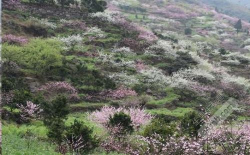 女人不想生女儿的真正原因
