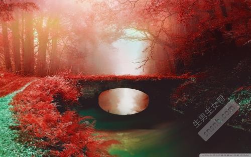 女人不想生女儿的真正原因