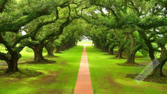 女人不想生女儿的真正原因