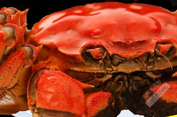 孕妇可以吃大闸蟹吗 一般不建议吃哦