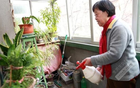 大冬天怀孕嘴馋买了个西瓜吃，婆婆：生不出孙子我唯你是问！