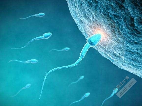 怀孕3个月孕妇胎停，医生却说是正常现象，孕期流产怎么办？