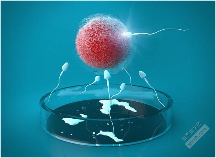 单身女性可以做试管婴儿?