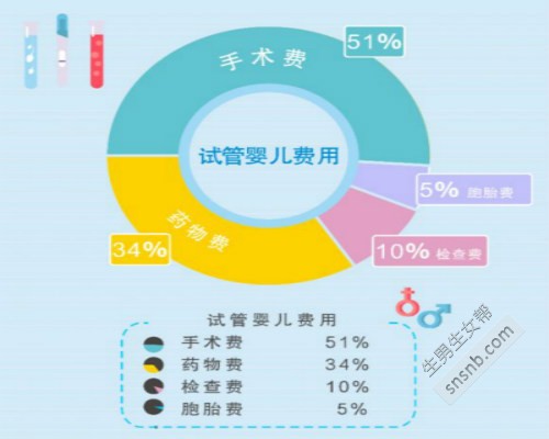北京试管婴儿多少钱