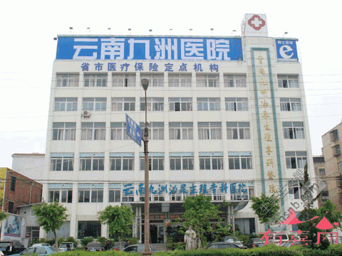 云南九洲医院