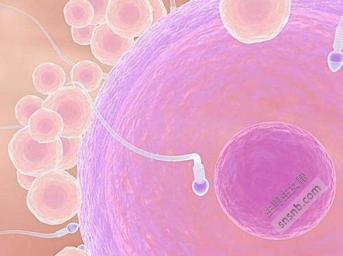 黑龙江试管婴儿做一次多少钱