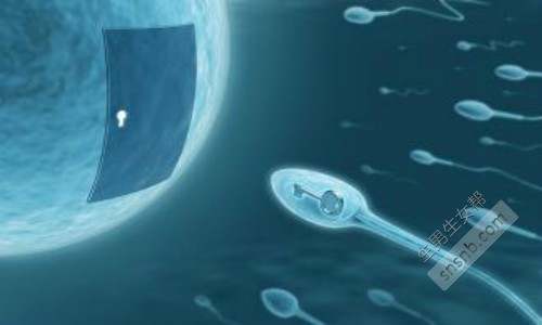 中国有卵子库吗