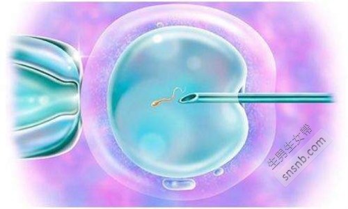 台北试管婴儿做一次需要多少钱