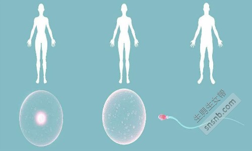 国内有能筛选性别的医院吗