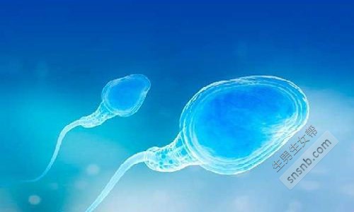 中国有精子库吗，哪些城市有