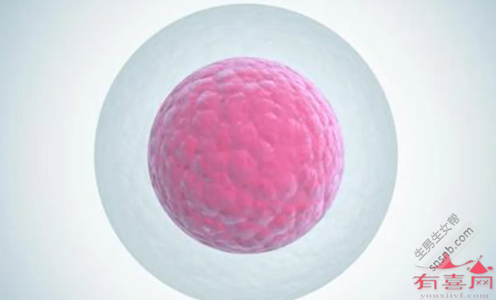 37岁AMH正常范围值：1.71-5.3 ng/mL