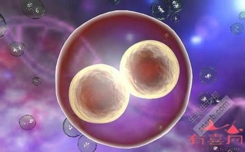 34岁做试管婴儿成功率高吗