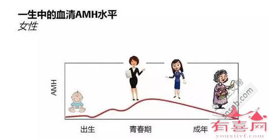 44岁AMH参考范围：0.78-3.56 ng/mL