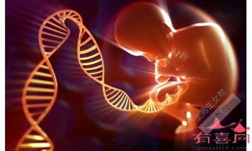 43岁女性做试管婴儿成功率高不高