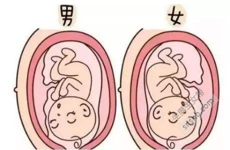 科学生男生女法是什么