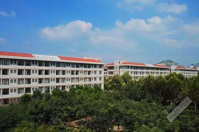 盛京医院辅助生殖中心