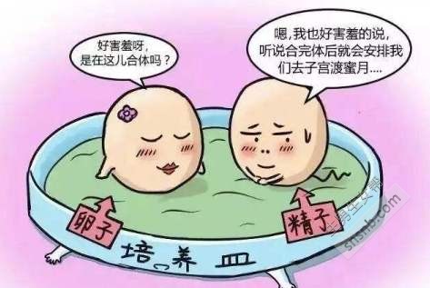 广西试管婴儿做一次多少钱