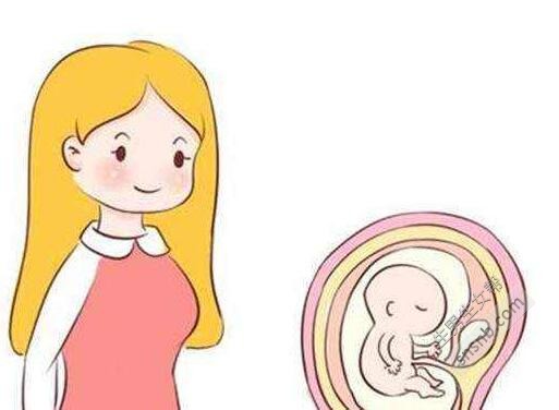 明明移植了优质胚胎，为什么还会着床失败?