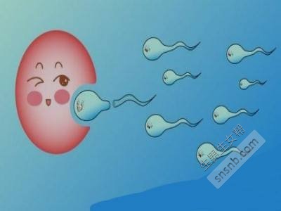 海南试管婴儿做一次多少钱