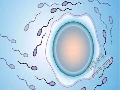 拉萨试管婴儿做一次多少钱