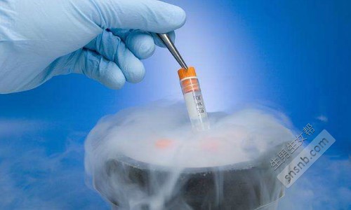 河北做一次试管婴儿需要多少钱