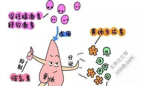 南宁试管婴儿做一次多少钱