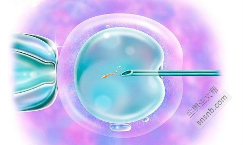 宁夏试管婴儿有补助吗