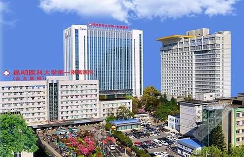 昆明医科大学第一附属医院(云大医院)