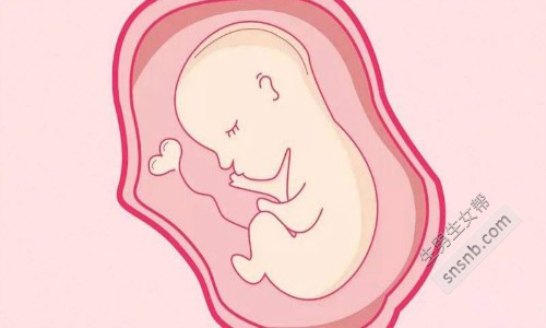 广州试管婴儿做一次多少钱