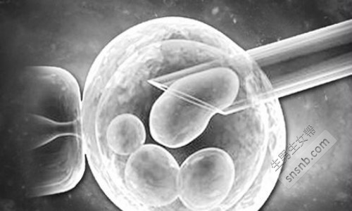 海口试管婴儿做一次多少钱