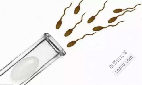 杭州试管婴儿做一次多少钱